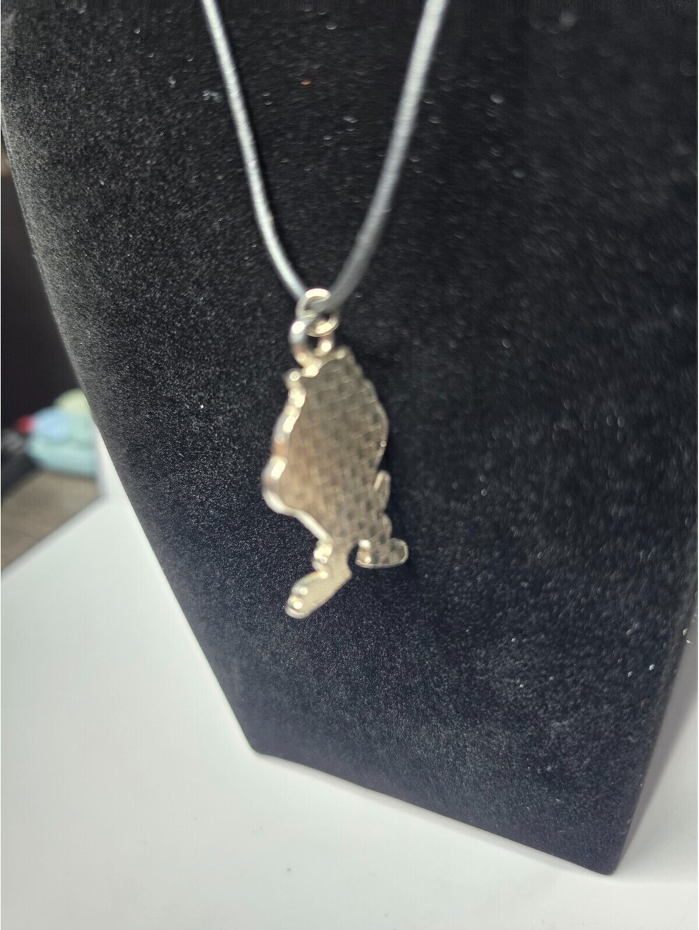 Tazmanian Devil Taz Enamel Charm Cord Necklace 18"